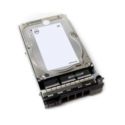 Dell 10TB Near Line SAS 12Gbps 512e 7.2K 3.5" Fully Assembled Hot Plug Hard Drive