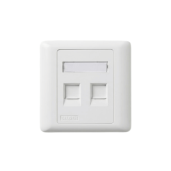 BELDEN AX104442 ABS Plastic Dual Port Face Plate