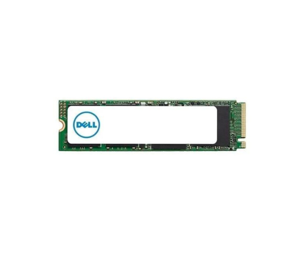 Dell 1TB NVME Solid State Drive AA615520 - High-Performance Storage