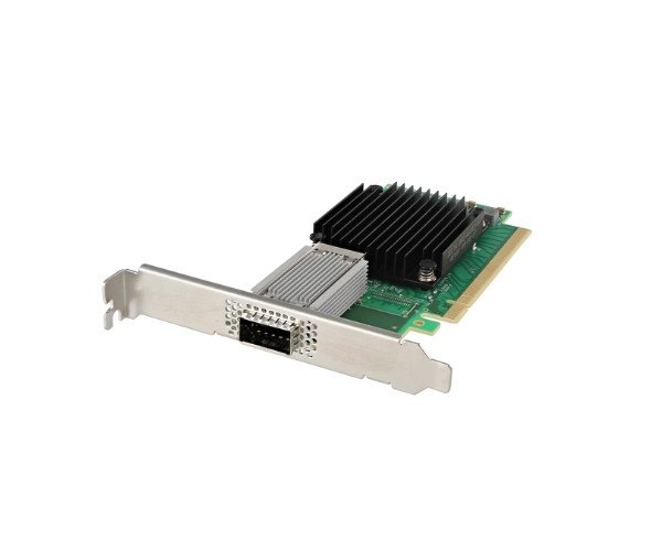 Dell Mellanox MCX555A Network Card