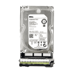 Dell 202V7-B 4TB 7200RPM SAS 6Gb/s 3.5-Inch Server HDD