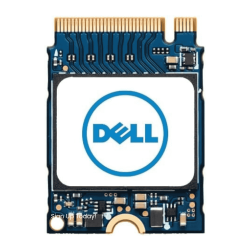 Dell AC280177 256GB PCIe Gen4 x4 NVMe Server SSD