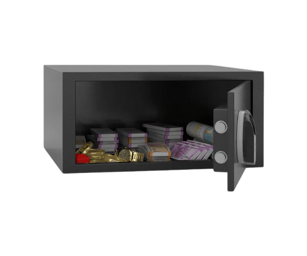 Godrej NX Pro 25L Biometric Home Locker