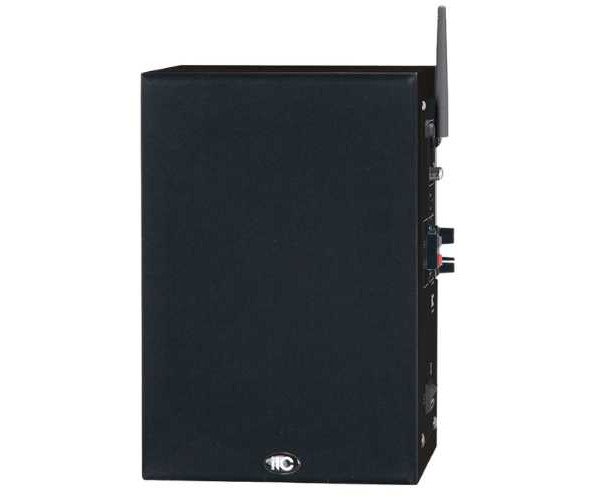 ITC T-250BM 2.4G Multimedia Active Speaker