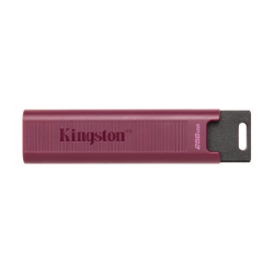 Kingston DataTraveler Max DTMAXA 256GB USB 3.2 Gen 2 Flash Drive