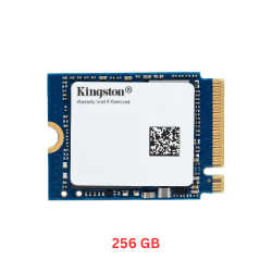 Kingston OM3PGP4256Q-A0 256GB Industrial SSD
