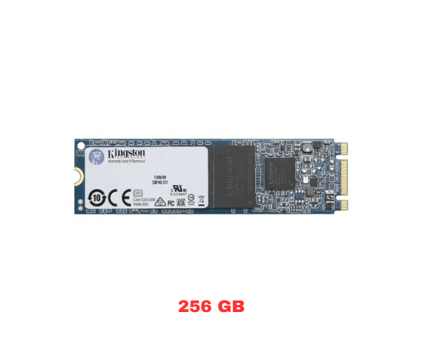 Kingston OM4P0S3256Q-A0 256GB Industrial SSD