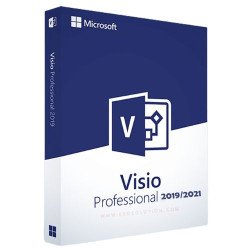 Microsoft  Visio Professional 2019 Key