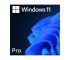 Microsoft Windows 11 Professional 64 Bit ENG DSP OEI DVD