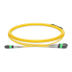 NVIDIA MFP7E40-N050 50m Single-Mode 1:2 MPO-12/APC Passive Fiber Splitter Cable