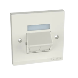 Panduit Pan-Net CFPUKS2SIWY Dual Port Faceplate
