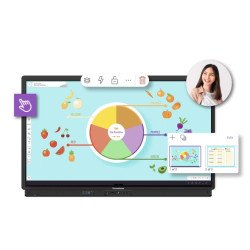 Promethean ActivPanel 9 Interactive Displays