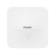Ruijie RG-AP680-IO Wi-Fi 6 Dual-Radio 5.951 Gbps Outdoor Access Point