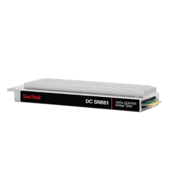 SanDisk SDS6A7638PKP8X7 3.84TB DC SN861 Server SSD