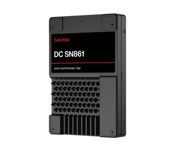 SanDisk SDS6CA216PSP9X1 1.6TB DC SN861 Server SSD
