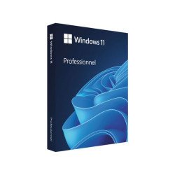 Windows 11 Pro 64Bit English Intl 1pk DSP OEI DVD