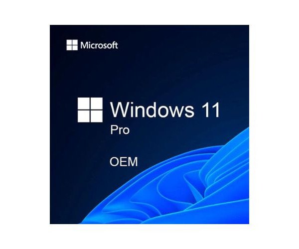 Windows 11/10 Pro OEM Key