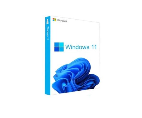 Windows GGWA - Windows 11 Professional - Legalization Get Genuine (CSP Perpetual)
