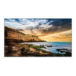 Samsung QE50T 50 inch 4K UHD Professional Display
