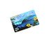 RFID Contactless Payment NFC Card